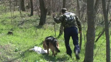 O fetiță de patru ani, din Brașov, dispărută de luni după-amiază, a fost găsită în viață