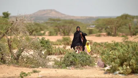 Femeile, VULNERABILE în fața schimbărilor climatice / Raport european îngrijorător