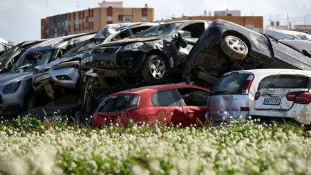 Rețea care trafica rable din SUA în state europene, inclusiv în România, DESTRUCTURATĂ de procurorii europeni, cu asistență din partea DNA