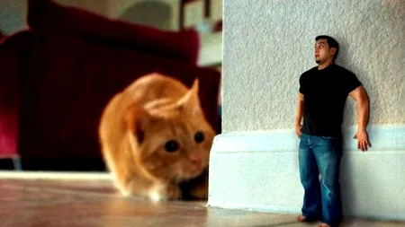 17 boli de care nu ai auzit niciodată