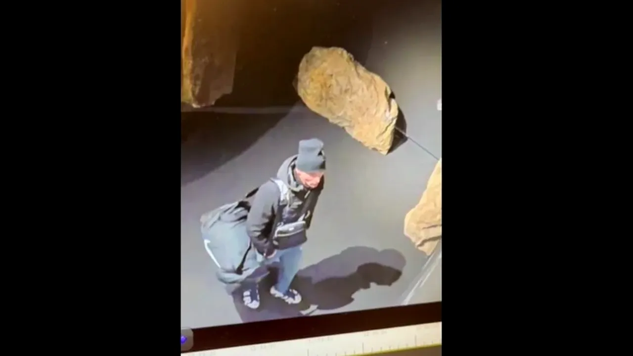 Primele IMAGINI cu unul dintre posibilii autori ai furtului tezaurului dacic. Ce au SURPRINS camerele de supraveghere