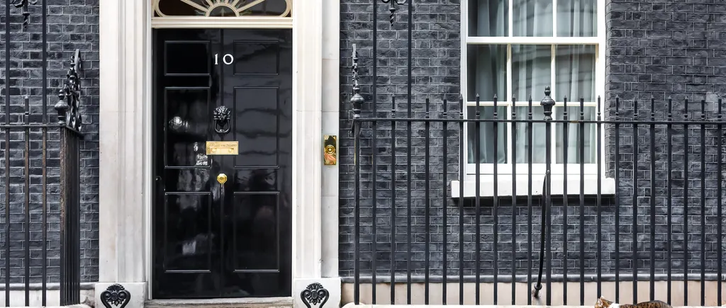 VIDEO | Motanul Larry a pus pe fugă o vulpe din fața reședinței premierului britanic. Confruntarea a fost surprinsă de camerele de filmat