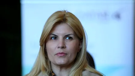 Reacția Elenei Udrea în cazul eliberării celor șapte tineri din Vaslui acuzați de viol 