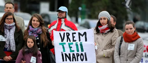 Zeci de tei plantați la Iași de către reprezentanții PSD, în ultima săptămână a campaniei electorale
