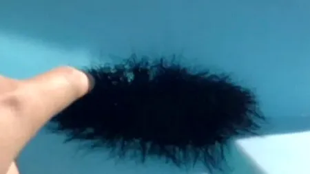 VIDEO. Ce apare, de fapt, în imagine. Clipul a devenit viral