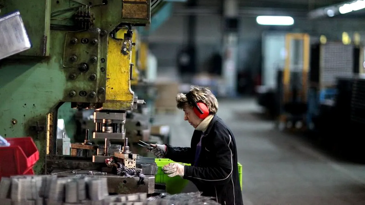 INS:Cei mai mulți angajați în industrie, principalele afaceri în comerț; pierderi doar în construcții