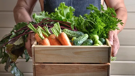 Care este leguma MINUNE cu rol antianemic, potrivit dr. Mihaela Bilic. Are multiple întrebuințări, proprietăți antioxidante și antiinflamatorii