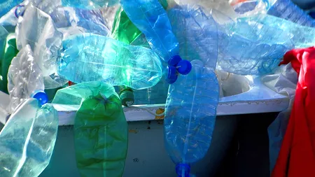 Câți bani a reușit să strângă o MĂMICĂ sărmană, din reciclarea PET-urilor, rămase după pelerinajul de la Sf. Parascheva