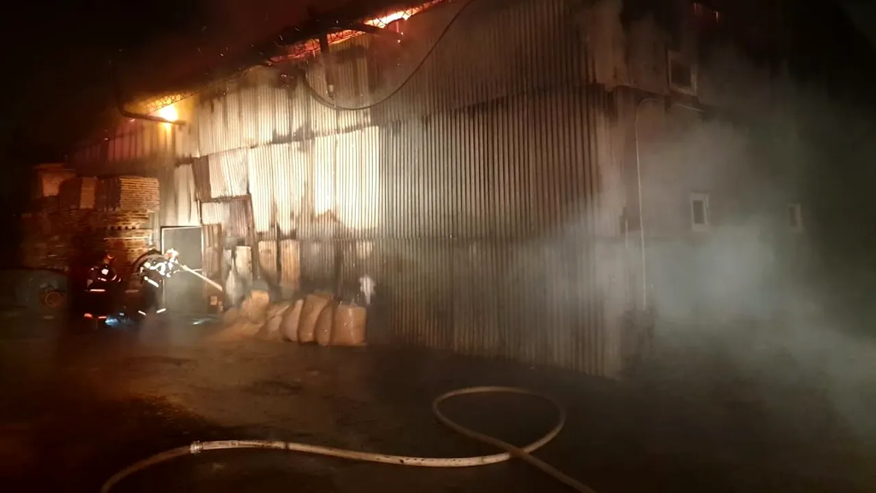 Incendiu puternic la un atelier de mobilă din Timișoara. Zeci de pompieri intervin pentru stingerea flăcărilor, care au cuprins o suprafață de aproximativ 600-700 mp