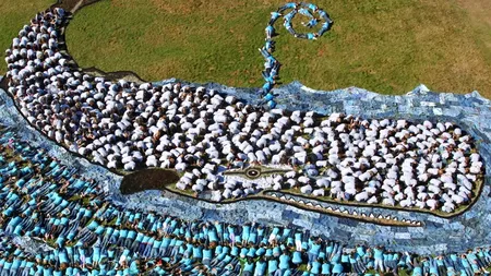 BALENA ALBASTRĂ, jocul mortal din Rusia pe care România vrea să-l oprească la graniță. „Insistăm ca toți părinții să fie atenți