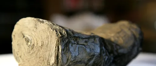 Mesajele unor pergamente din Pompei, descifrate după 2.000 de ani, prin utilizarea sistemelor de inteligență artificială