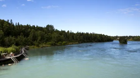 Șapte morți, într-un accident aviatic. Un politician era la manșa unuia dintre avioanele care s-au ciocnit