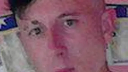 FOTO: Este acesta cel mai mare cocalar din România? Ce fotografie a postat pe internet