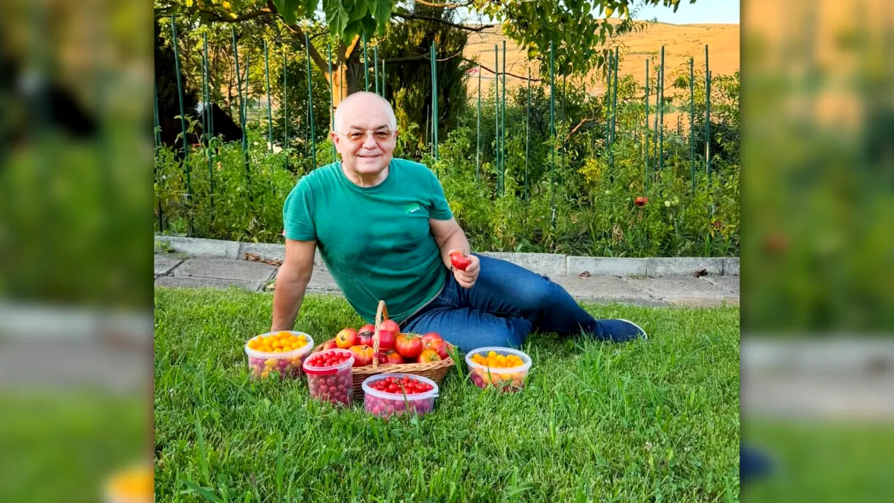Emil Boc, ședință foto cu primele roșii culese din grădina sa. „E o satisfacție pe care niciun magazin nu o poate oferi”