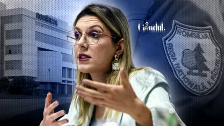 Guvernul a aprobat Hotărârea privind reorganizarea Romsilva. Numărul direcțiilor silvice se reduce. „Fără operatori de xerox”