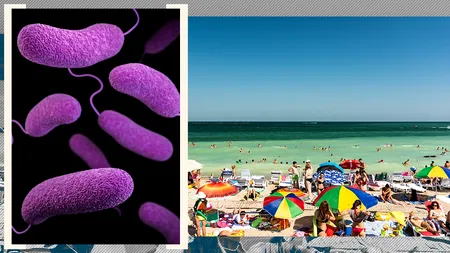 Bacterie periculoasă pentru organismul uman, depistată în apele Mării Negre. Medicii recomandă metode de precauție