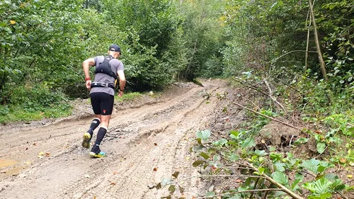 „Maratonul NePădurilor”, la start. Andrei Roșu aleargă timp de trei zile pentru a opri tăierile ilegale