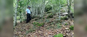Cadavrul unui bărbat a fost descoperit de jandarmi după o lună într-o pădure din Alba