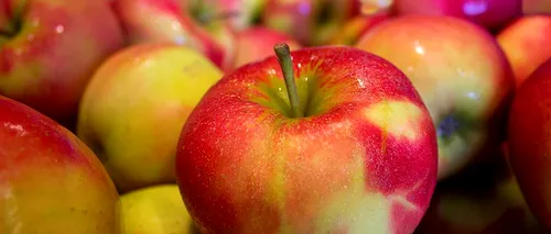 Cum e mai sănătos să mănânci merele: cu sau fără coajă?
