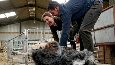 Ducii de Cambridge au trecut la munca de jos. Cei doi au tuns oi la o stână: Oaia nu e mulțumită - VIDEO / FOTO