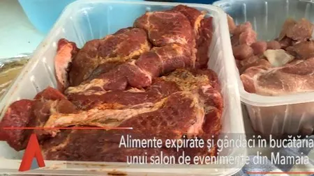 GÂNDACI și alimente EXPIRATE, în bucătăria unui salon de evenimente din Mamaia
