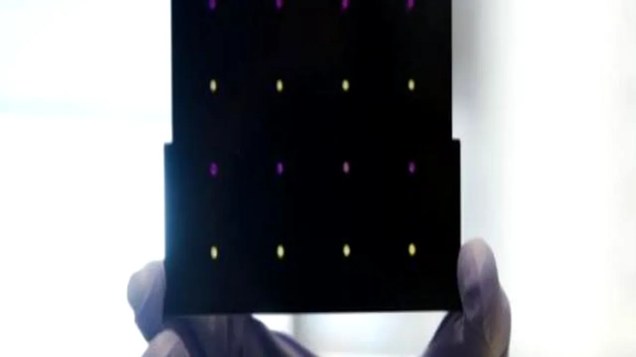 Aparatul care detectează virusul Zika în doar 3 ore