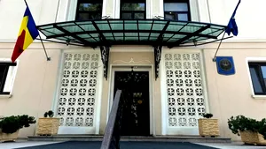 Curtea de Conturi a sesizat organele de urmărire penală în cazul ROMSILVA. Printre nereguli, peste 3,1 milioane de hectare nu apar în contabilitate
