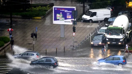 Furtunile din România, în imagini: inundații, copaci căzuți, drumuri blocate