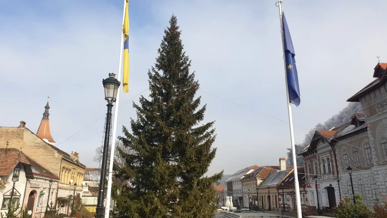 Bradul de Crăciun din Râșnov va ajunge în soba unei familii nevoiașe din oraș
