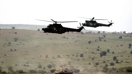 Ministrul german de Externe acuză NATO de 