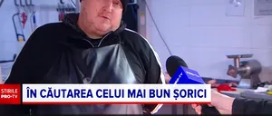 Care este cel mai bun șorici și cu cât se vinde la piață. Prețul nu este deloc de neglijat