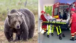 Un nou atac al ursului în deja celebra comună Arefu-Argeș. Încă o turistă străină a fost atacată de jivină