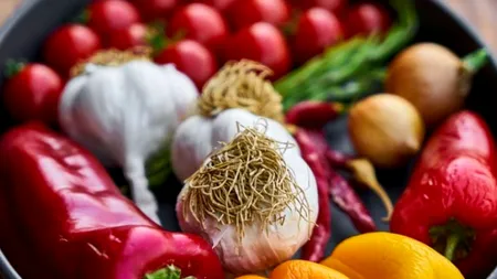 Avantajele și dezavantajele DIETEI MILITARE. Ce trebuie să mănânci în primele trei zile