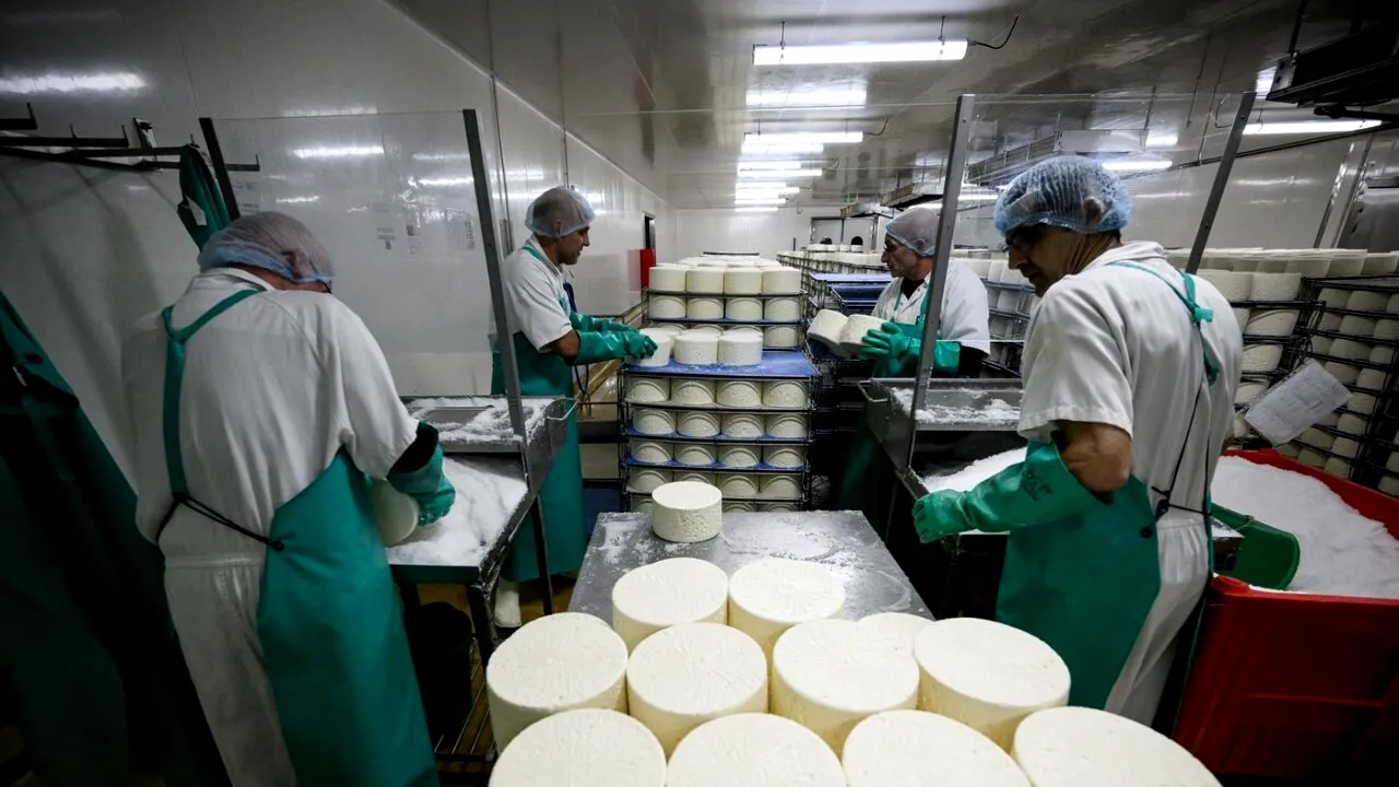 Este brânza prea SĂRATĂ? Iată trei metode simple pentru modificarea gustului