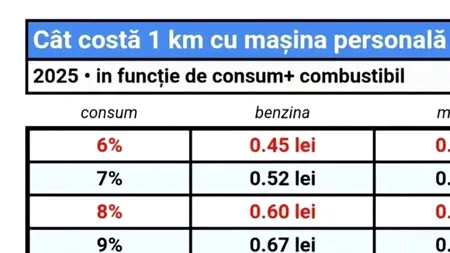 Tabel pentru benzină și motorină | Cât costă 1 km cu mașina în 2025, în România, în funcție de CONSUM