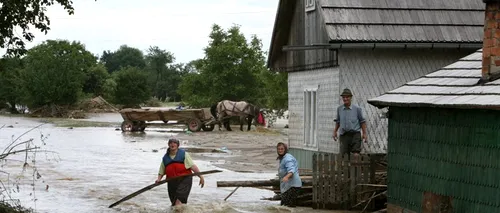 Mai multe case și terenuri agricole din Suceava, inundate în urma unei ploi torențiale