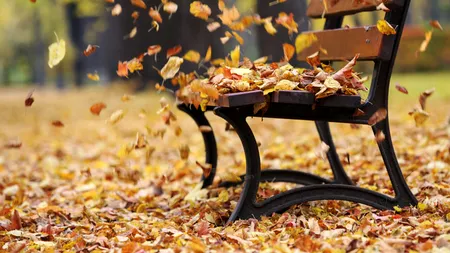 Cod galben de vânt puternic în mai multe zone din România! Prognoza meteo în următoarele 4 săptămâni