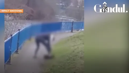 GÂNDUL LIVE. O femeie din Cluj-Napoca și-a lovit câinele cu sălbăticie