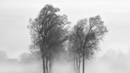 ANM: val de aer polar peste România! Meteorologii anunță lapoviță și ninsori în aceste zone