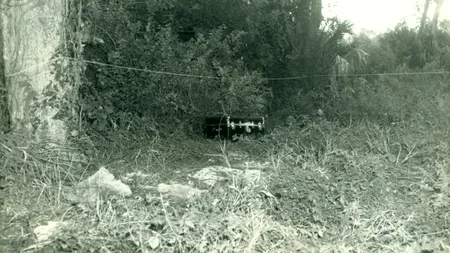 A fost găsită pe jumătate dezbrăcată și strangulată cu o cravată, într-un cufăr. Misterul morții femeii, descifrat după 53 de ani