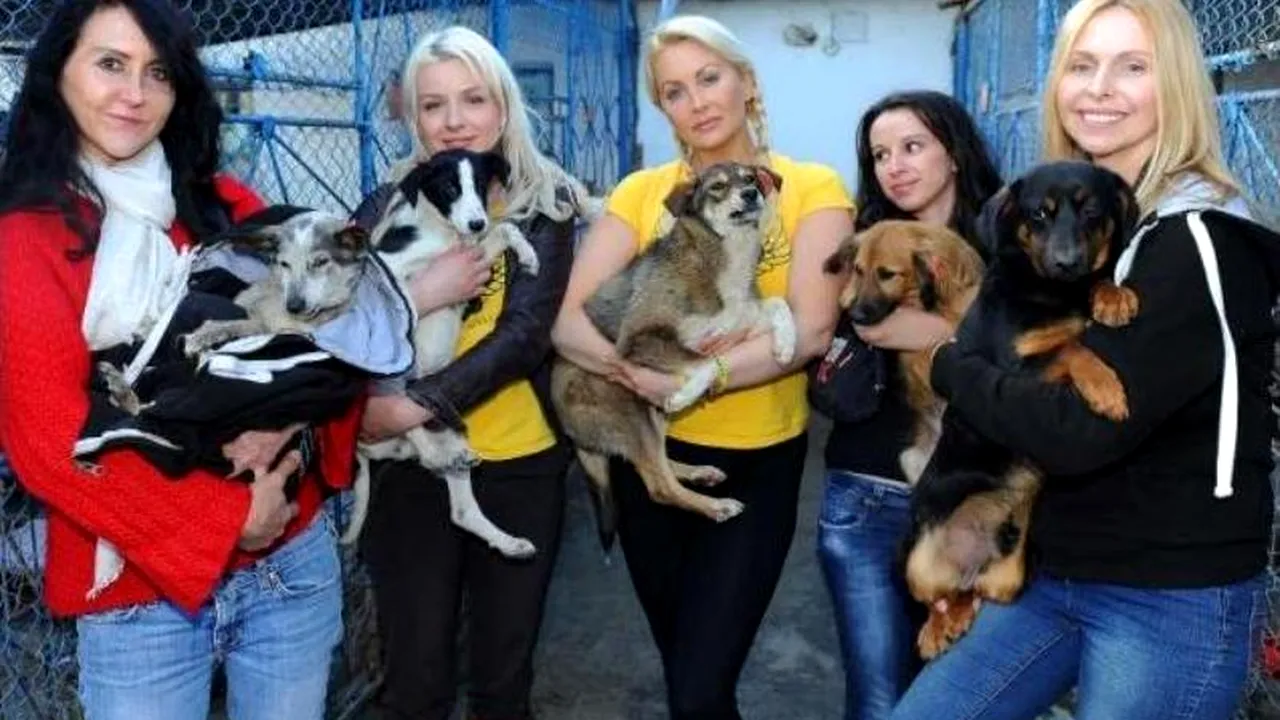 Cum au pogorât în România trei 