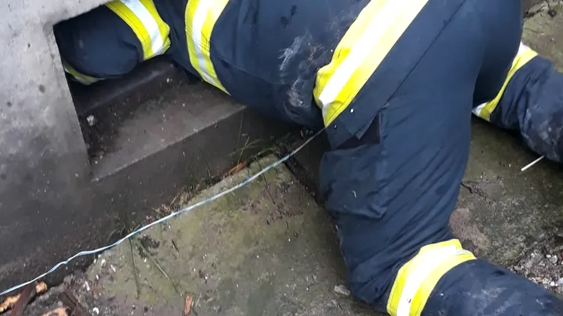 Imagini emoționante cu salvarea unui cățel căzut într-un canal de ventilație: „Orice suflet contează”