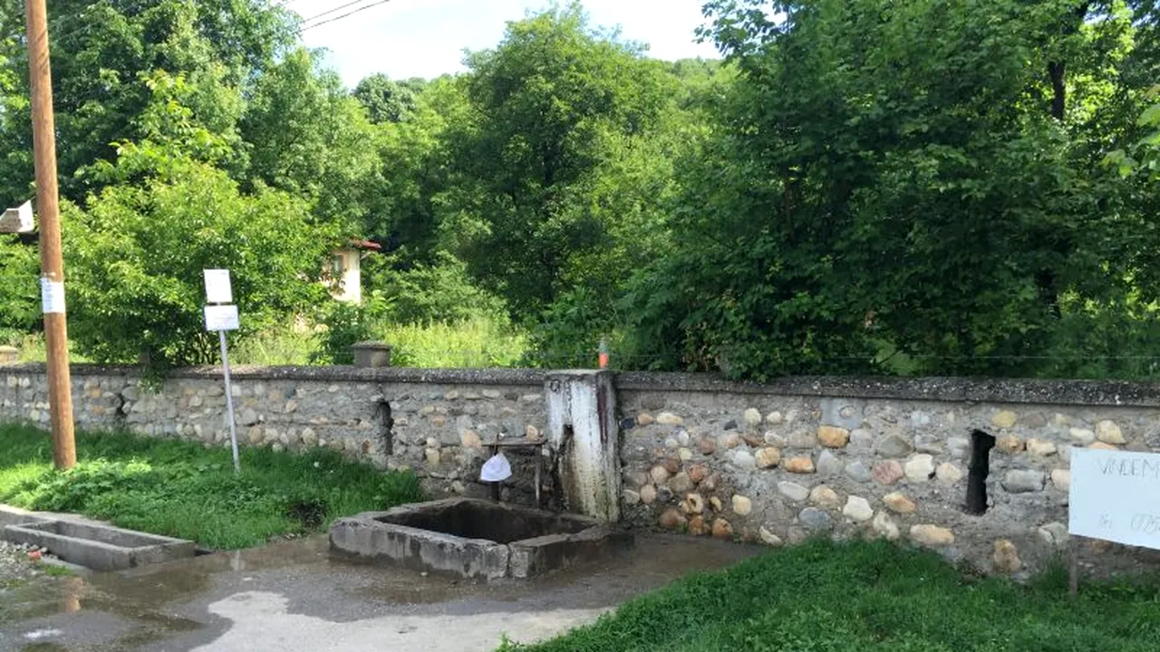 E. coli în Argeș. Toate sursele de apă, verificate