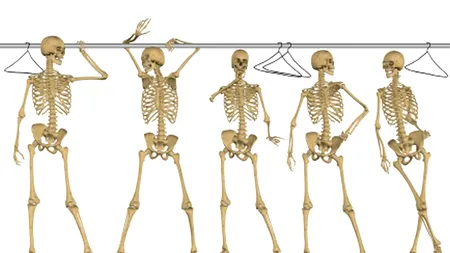 Zornăit de schelete în dulapul patriei