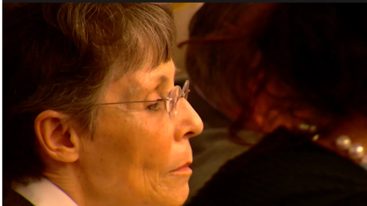 O femeie a încercat să scape de fostul soț cu ajutorul unui asasin plătit. Continuarea poveștii sfidează orice scenariu de film