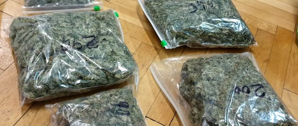 Ziua și flagrantul. Bărbat din Iași, prins de DIICOT în timp ce încerca să comercializeze un kilogram de cannabis