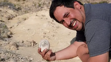 Descoperire uluitoare în Patagonia: ou de dinozaur, vechi de 70 de milioane de ani, găsit în stare perfectă de conservare