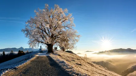 Meteo România. ANM anunță vreme neobișnuită până pe 24 februarie 2025