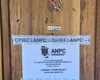 Codin Maticiuc l-a sesizat pe Piedone în legătură cu cazarea de la Vox MARIS-Costinești. Șeful ANPC a dispus un control, a doua zi