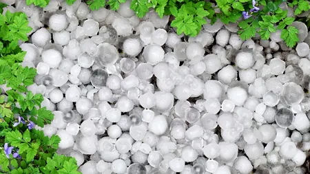 Ministerul Agriculturii intervine după ce fermierii au cerut reactivarea Sistemului ANTIGRINDINĂ. „Punctele de lansare existente nu au fost omologate”